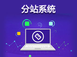 seo网站优化 森动网提供seo网站优化服务,详细的seo网站优化列表 森动网