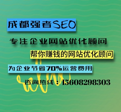 成都网络营销外包快速解决企业发展需求-强者SEO网站优化顾问