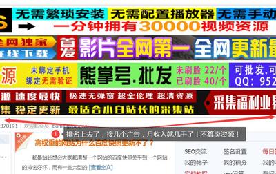 网站SEO学会后如何进行盈利?