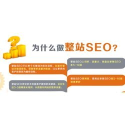 网站建设-迅驰互联-网站建设服务