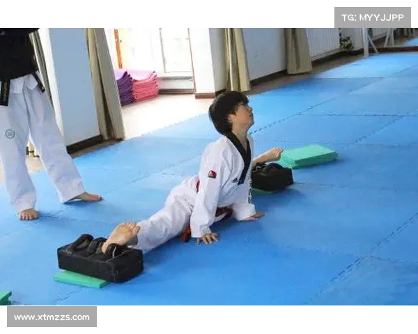 申鹤腿法技巧解析：从基本功到实战运用的全面解读