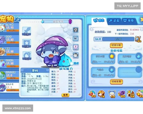 多哥在洛克王国的冒险旅程中获得的成长与宝贵经验总结